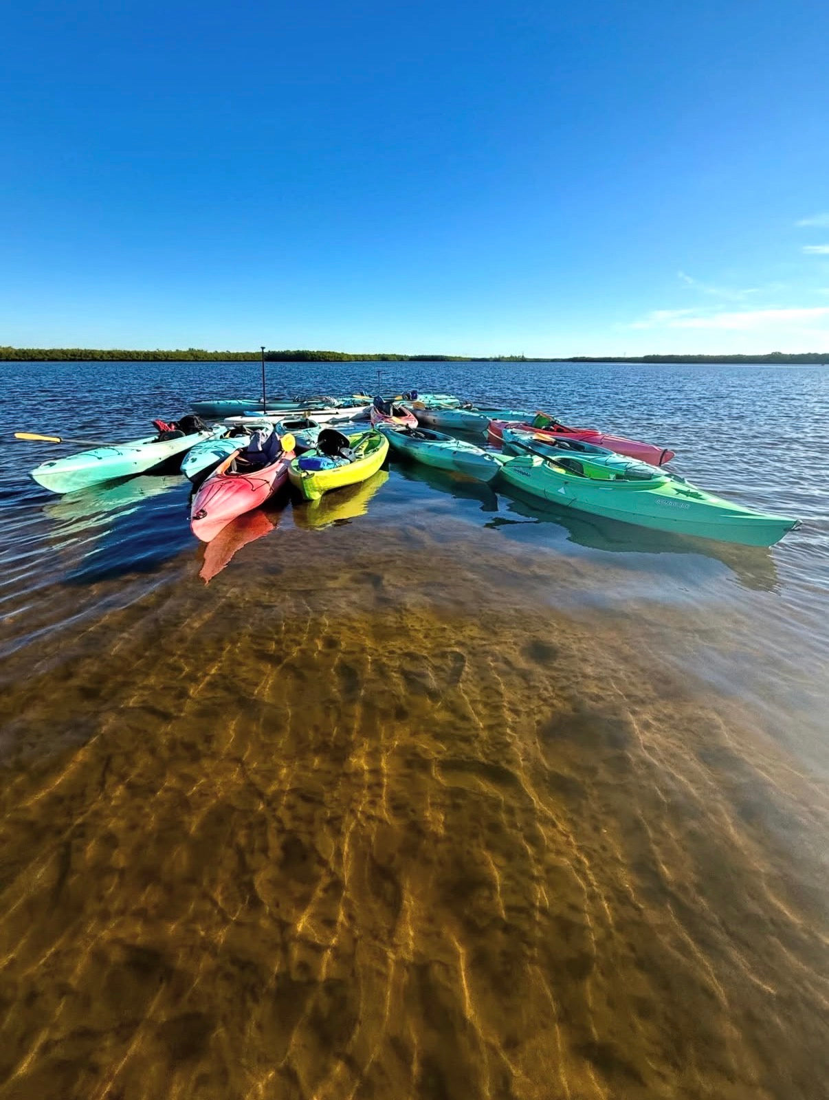 Colorful kayaks on a clear body of water with a blue sky.