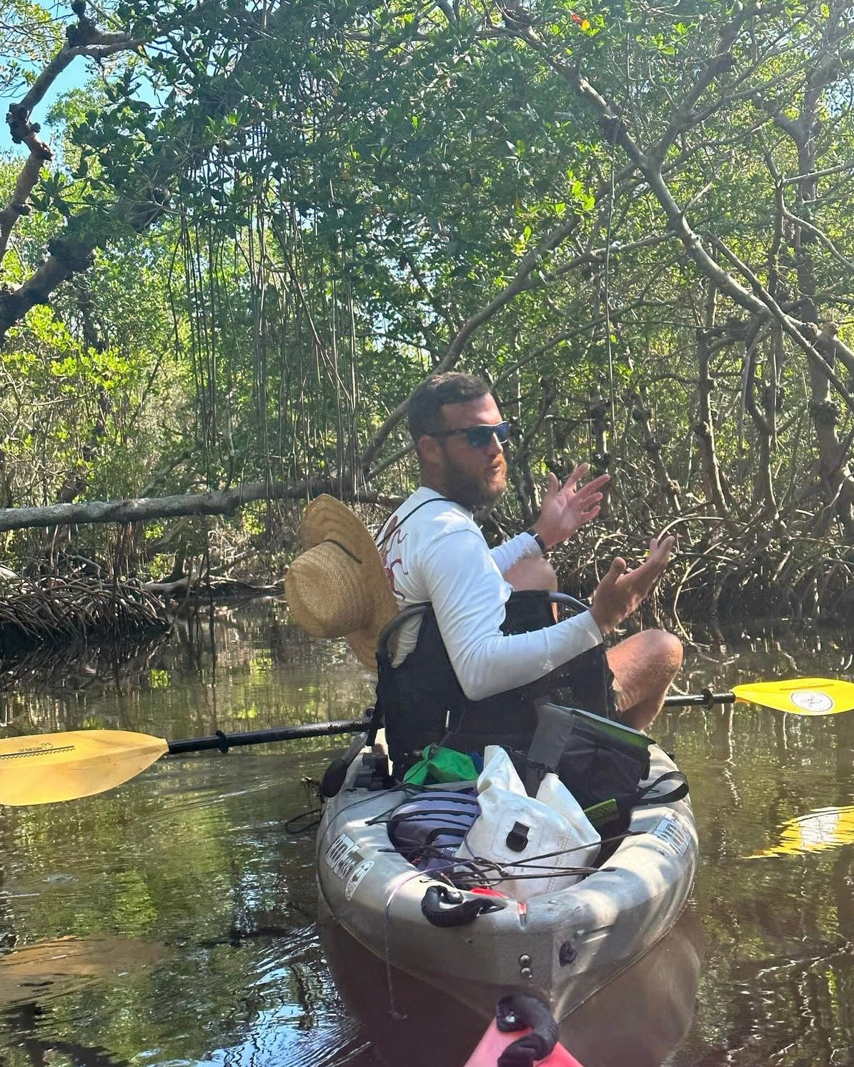 Man in a kayak surrounded by mangrove trees