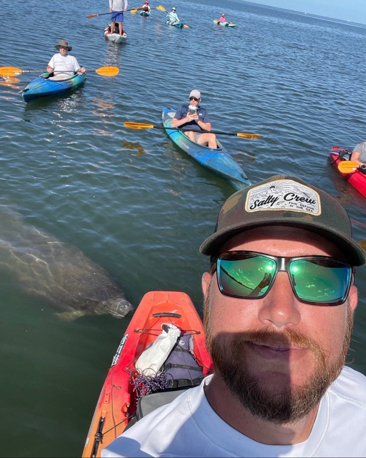 Man in kayak with manatee in the water and other kayakers in the background